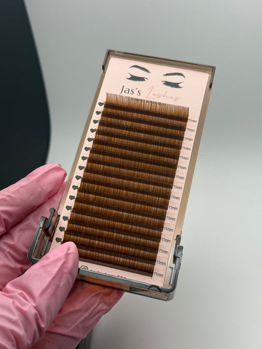Volume Brown Lash Trays 🤎